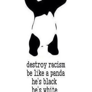 Meet your Posher, Caleb